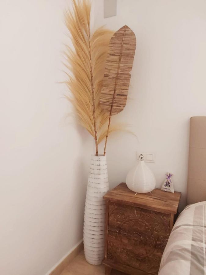 B&B Vista Mar 贝尼萨 外观 照片